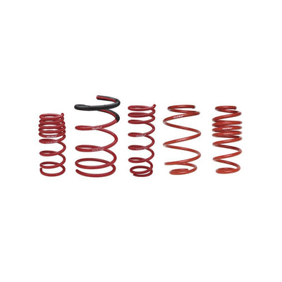 SKUNK2 10K STRAIGHT RACE SPRINGS 6&quot;L - 2.5&quot;ID
