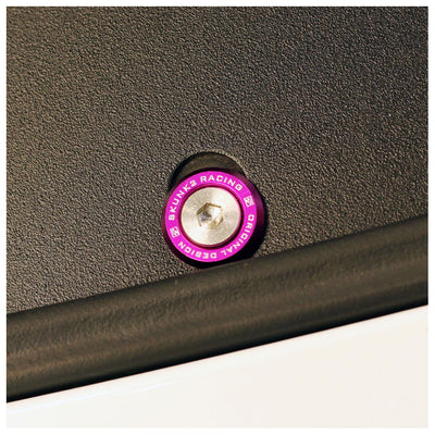 SKUNK2 SMALL FENDER WASHER KIT PURPLE